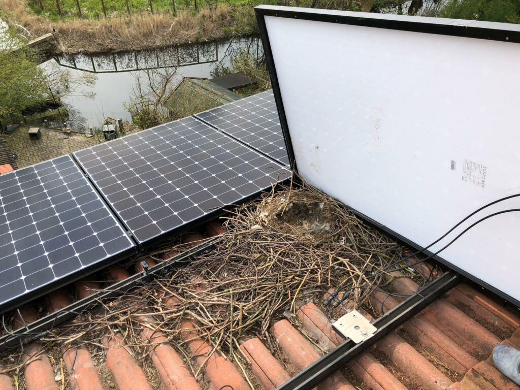 Vogelwering voor zonnepanelen in Hasselt geplaatst door Killbugs