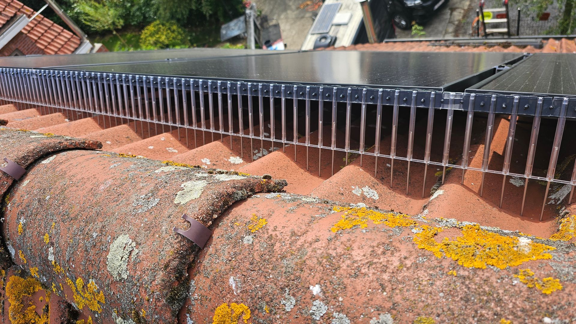 vogelwering voor zonnepanelen tegen duiven
