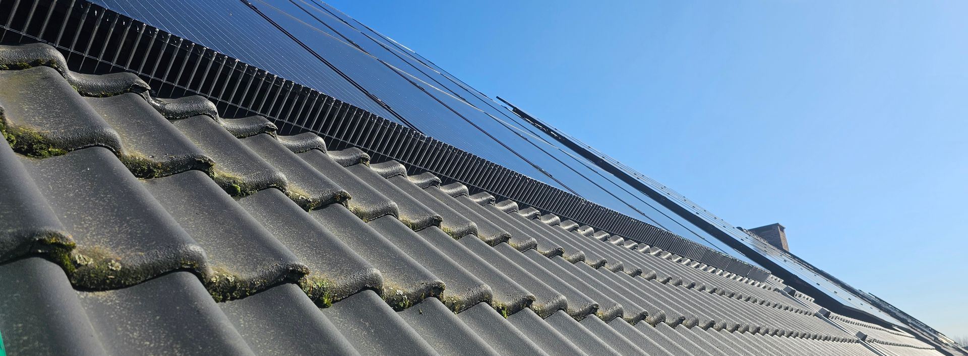 vogelwering voor zonnepanelen geplaatst in Limburg door Killbugs