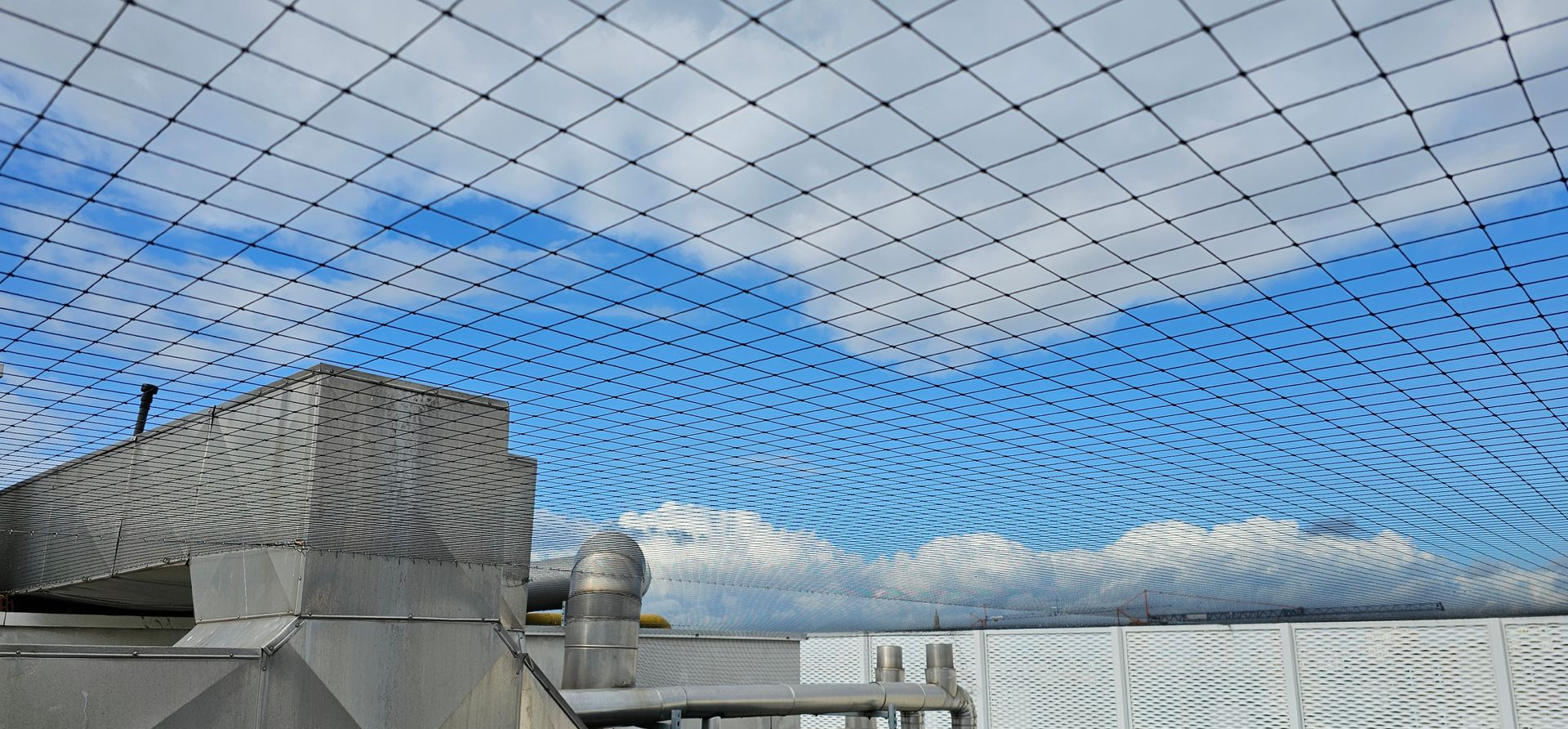 Vogelweringsnet geplaatst boven installatie in Limburg door Killbugs