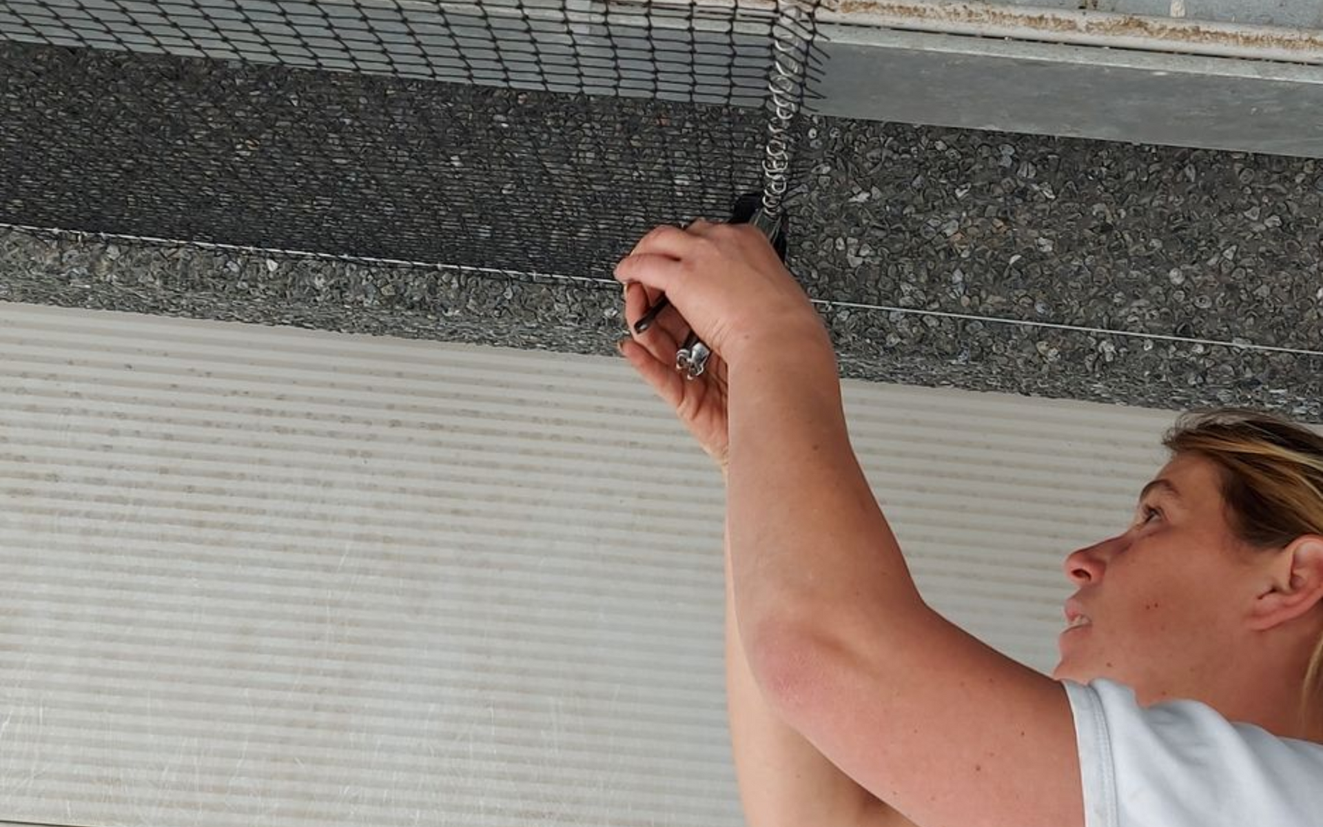 Professionele installatie van vogelweringsnetten in Tongeren door Killbugs