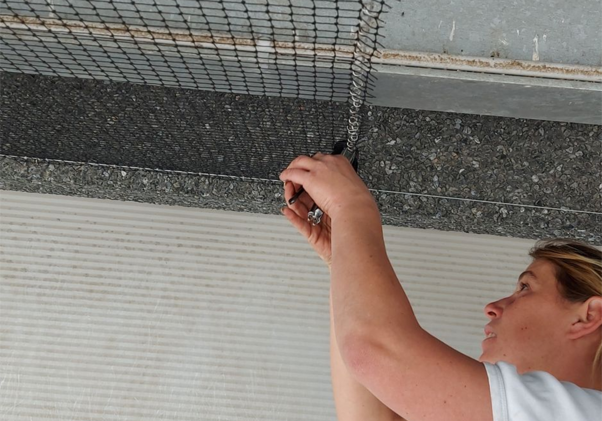 Professionele installatie van vogelweringsnetten in Limburg door Killbugs