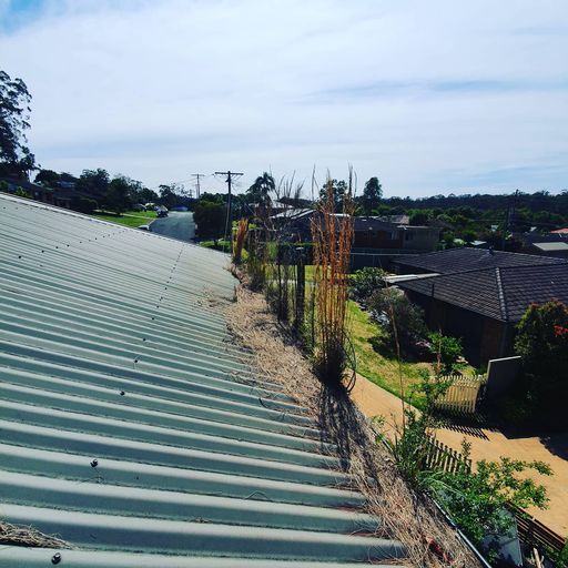 Gutter Cleaning Before — Gutter Cleaning Services in Terrace, NSW