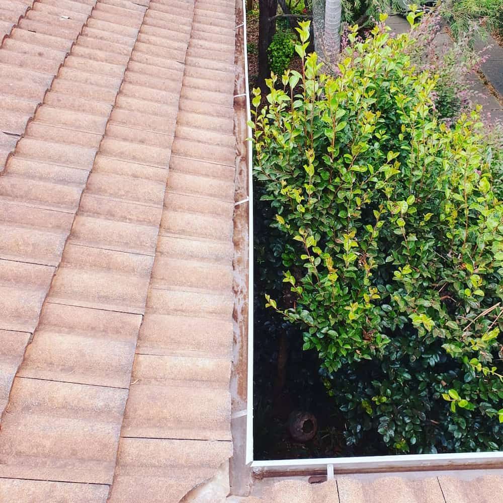 A Gutter on a Tiled Roof Next to a Bush — TK Guttercleaning in Hamlyn Terrace, NSW