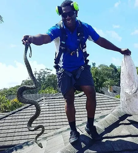 A Man is Standing on Top of a Roof Holding a Snake — TK Guttercleaning in Hamlyn Terrace, NSW