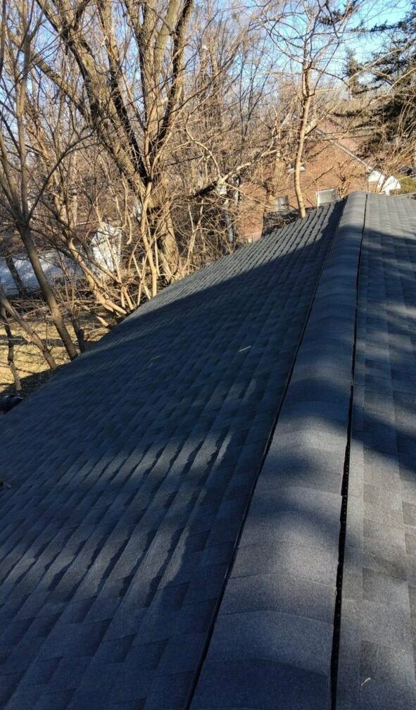 A close up of a roof with trees in the background.