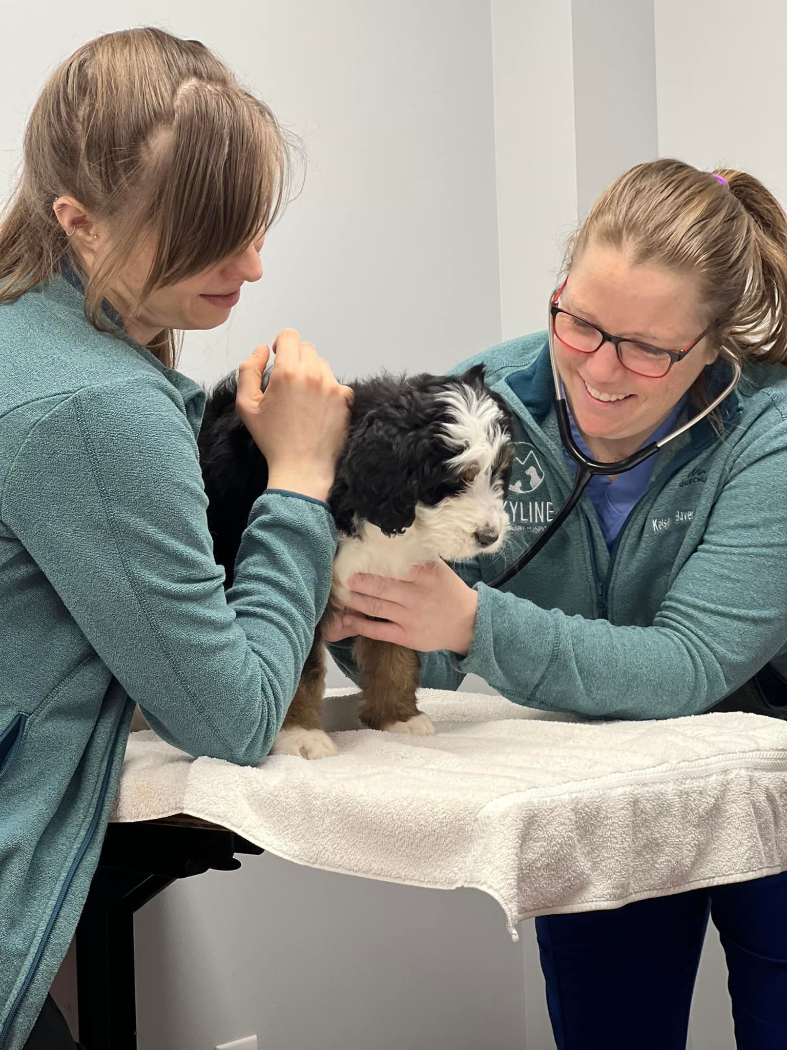 Two women examining a puppy. One uses a stethoscope; both smile. White table in clinic.