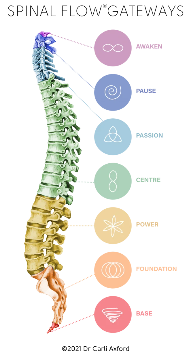 Colorful spine diagram labeled with chakra centers from base to crown and “spinal flow pathways” title