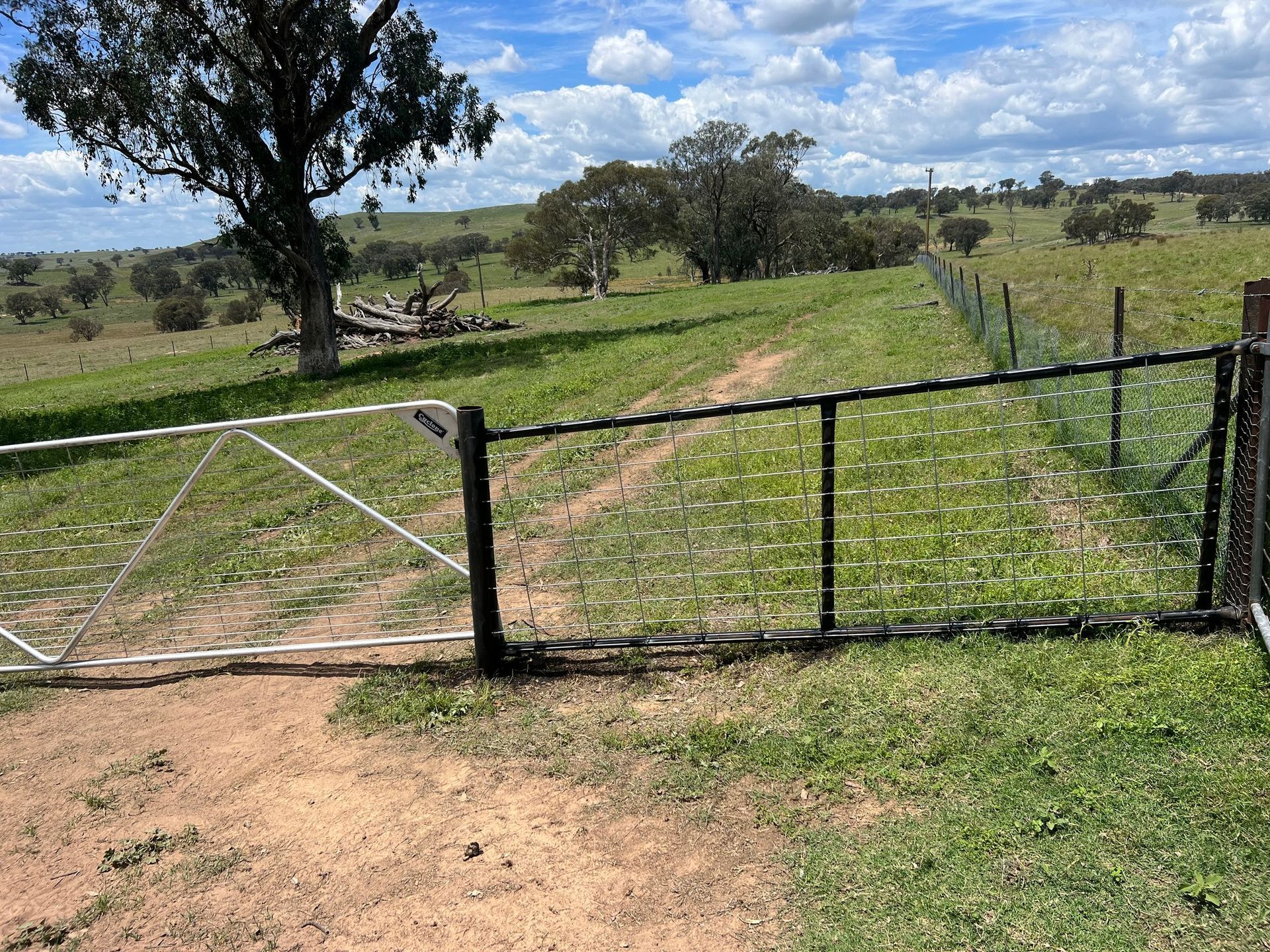 A fence with a gate in the middle of a grassy field.