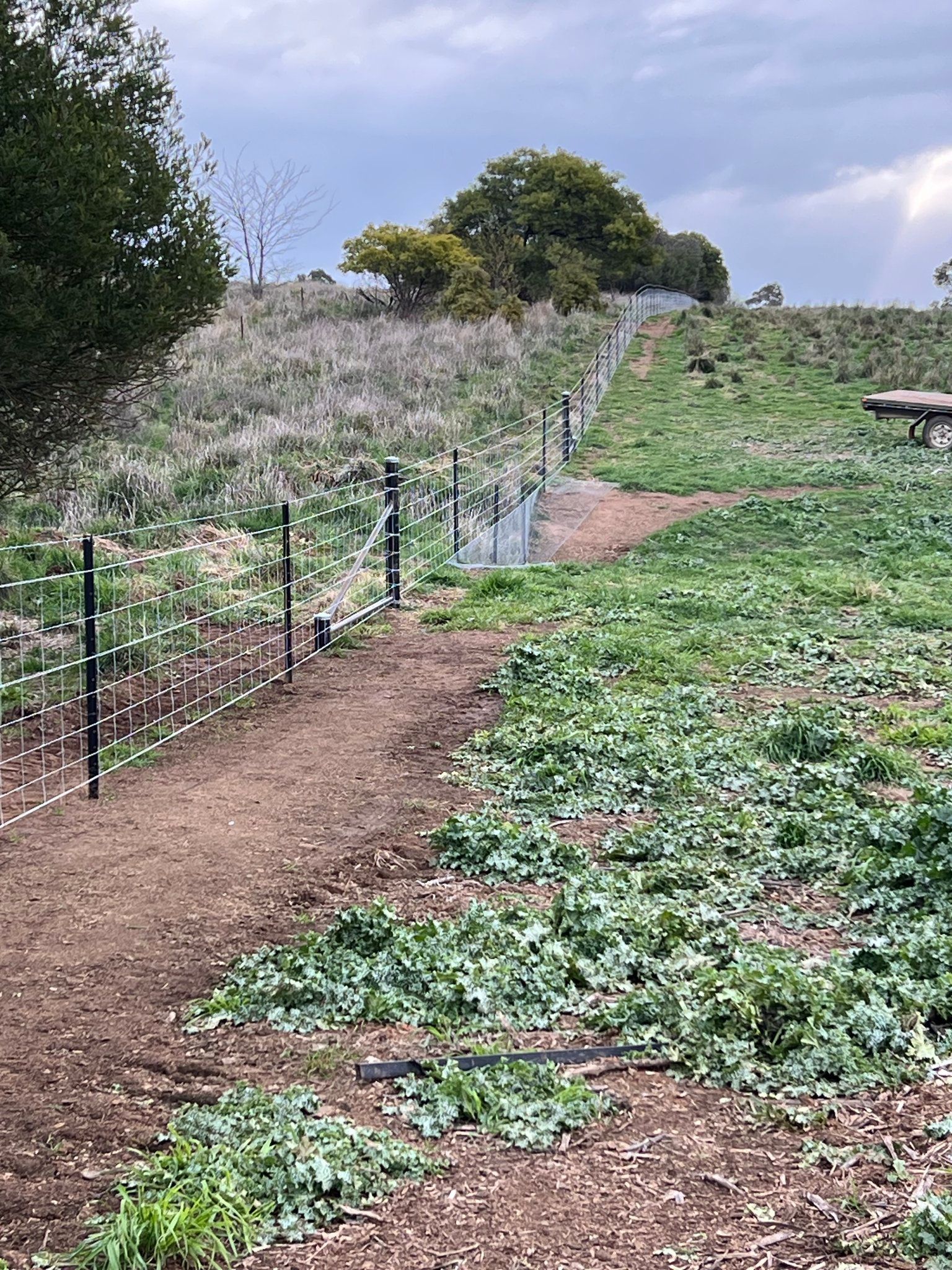 A path going through a field with a fence in the background.