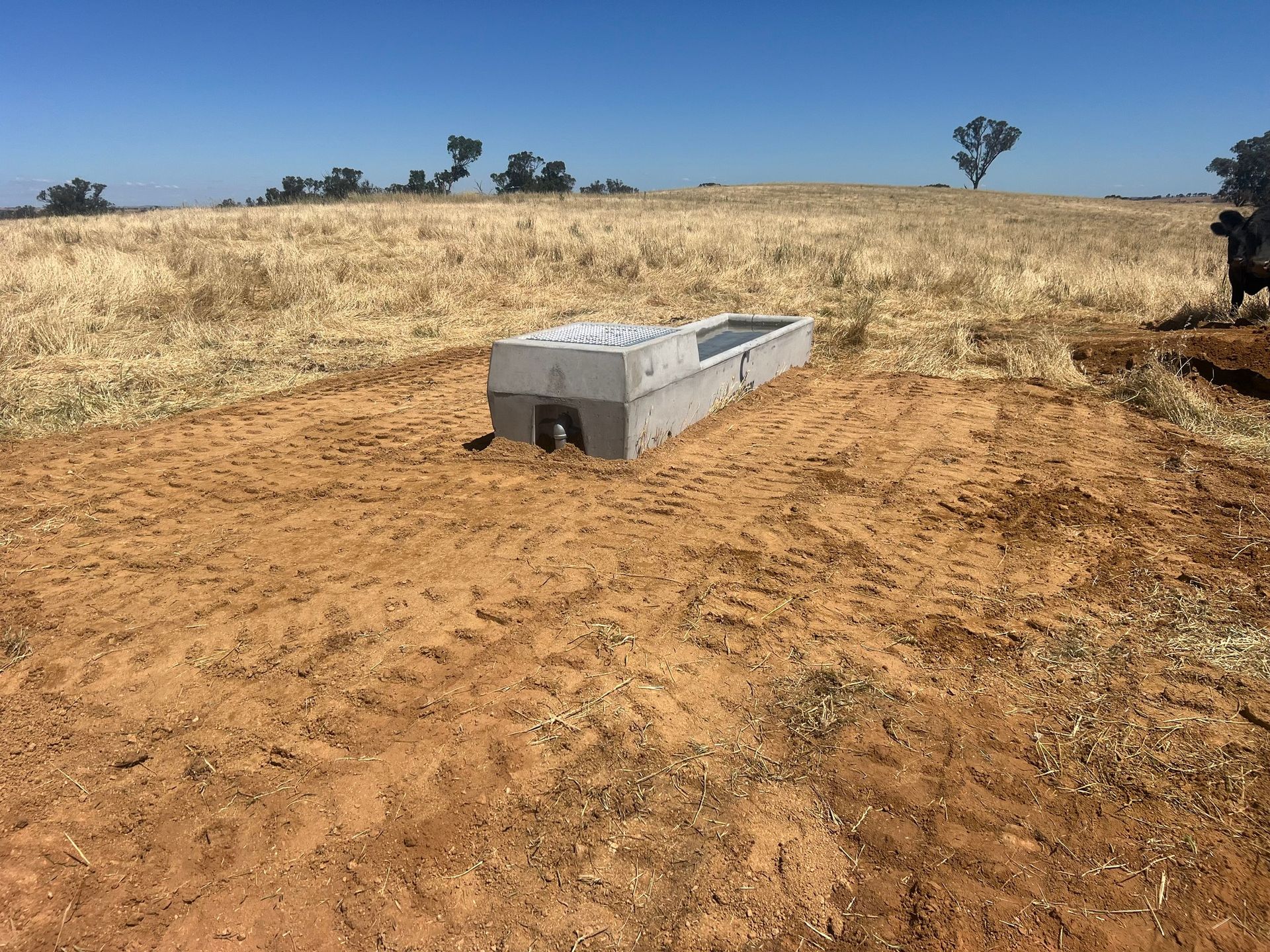A concrete water trough is sitting in the middle of a dirt field.