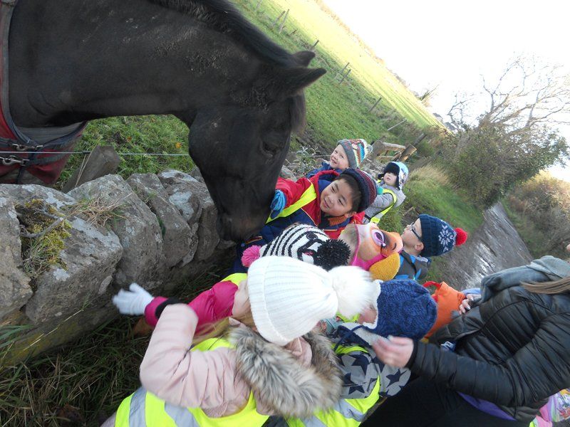 Kids playing with horse