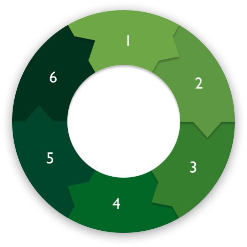 A wheel of individual sections depicting six steps in a circular process. 