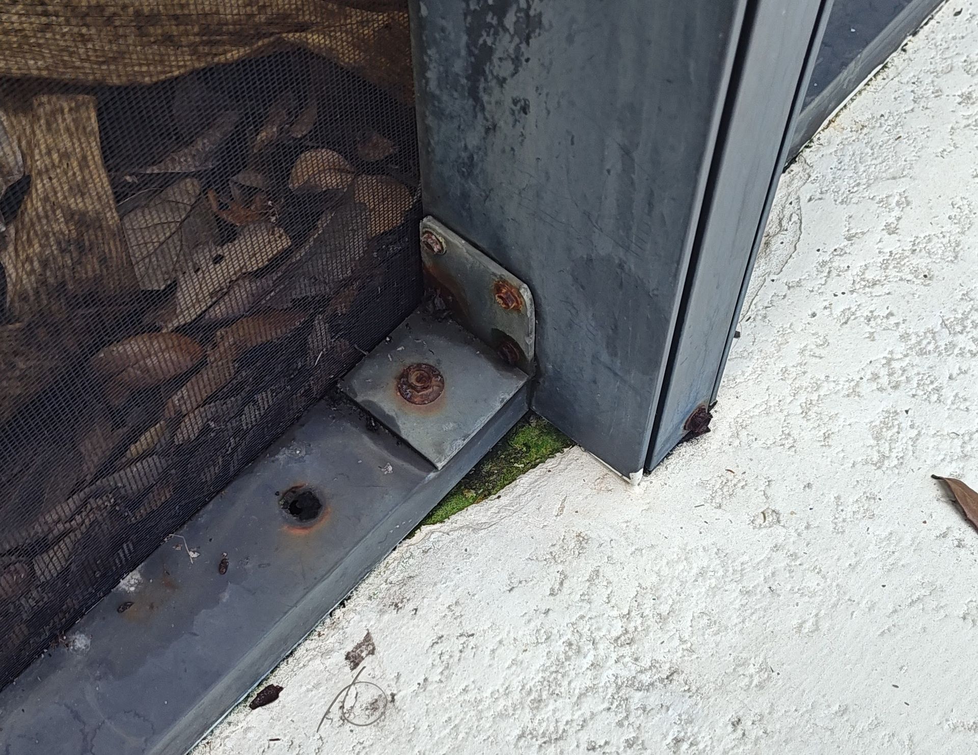 A corner of a building with a screw in it