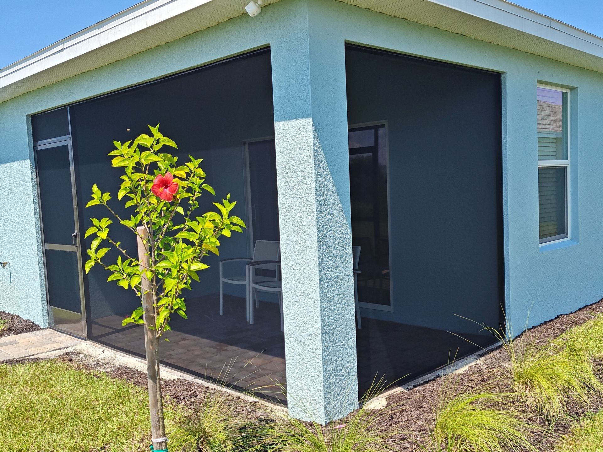 A blue house with a screened in porch and a tree in front of it