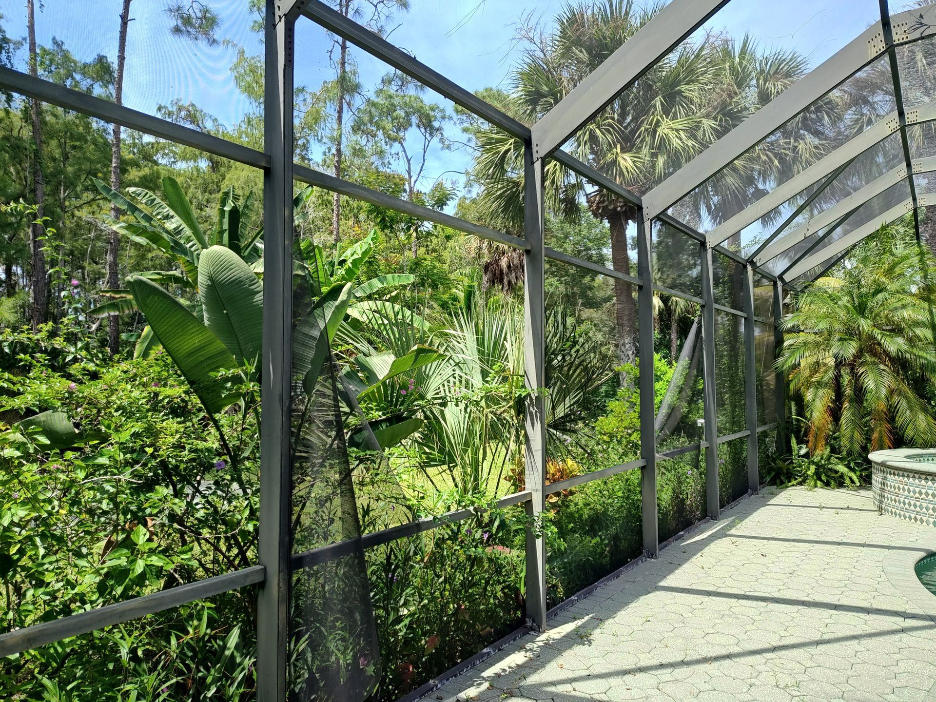 A screened in porch with a view of a lush green forest.