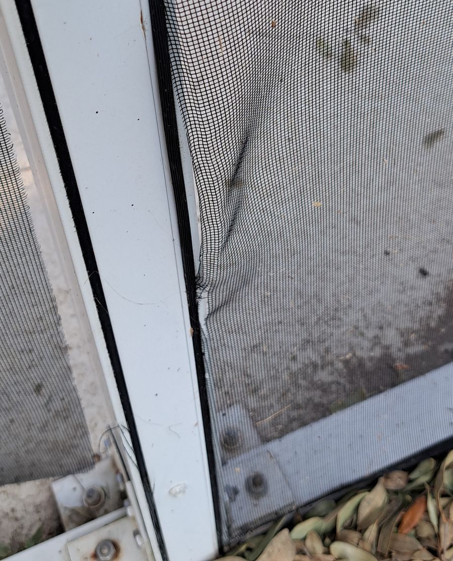 A close up of a screen door with a hole in it.
