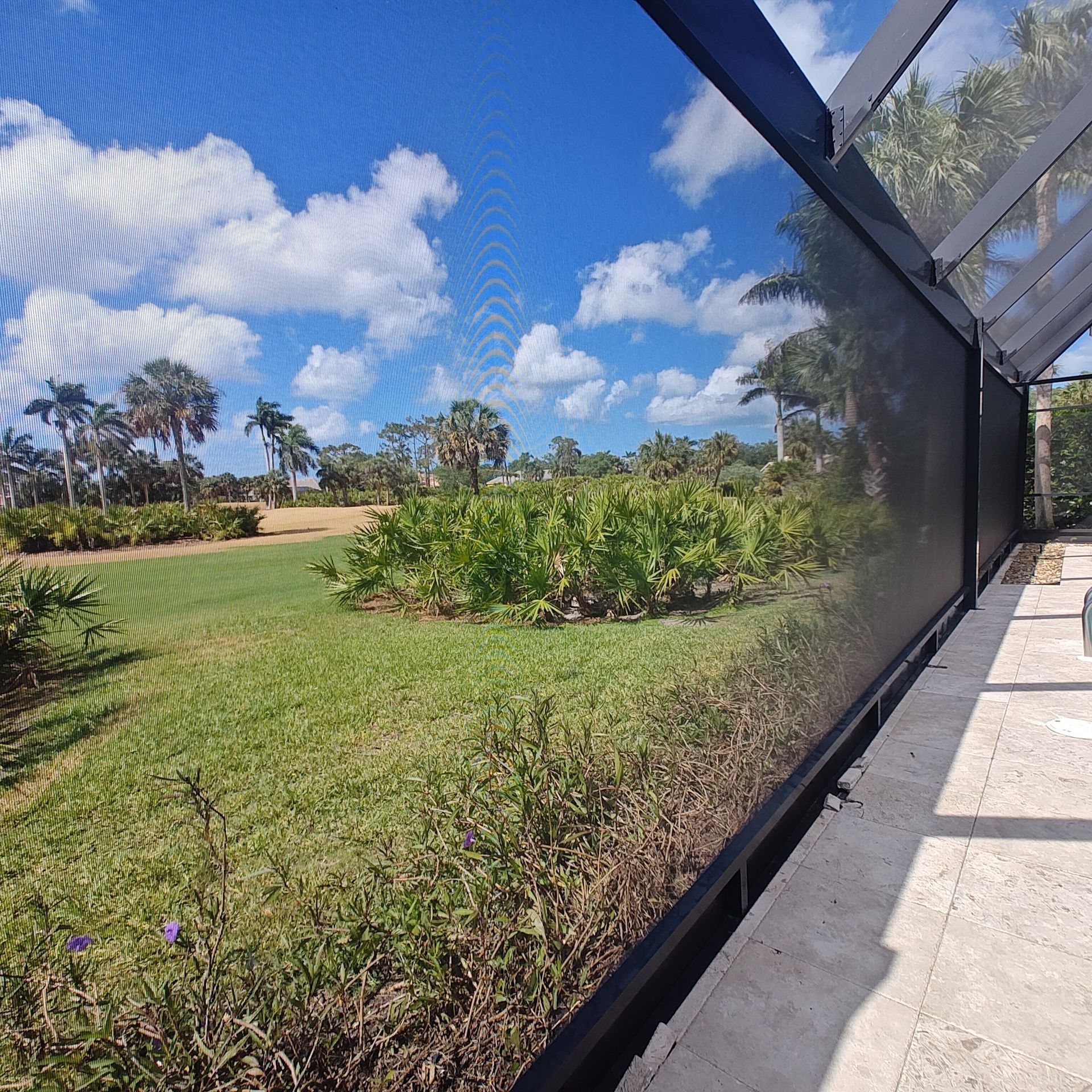 A screen fence surrounds a lush green field with palm trees