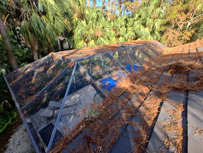 A roof with a lot of leaves on it and trees in the background.