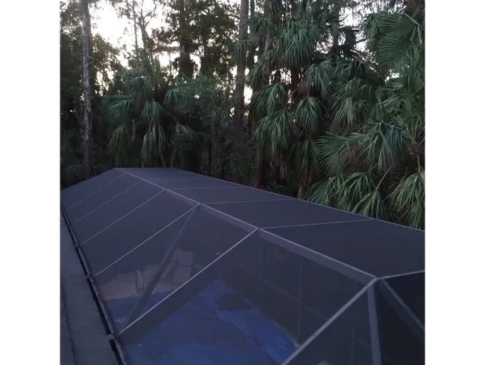 A screened in pool with trees in the background.