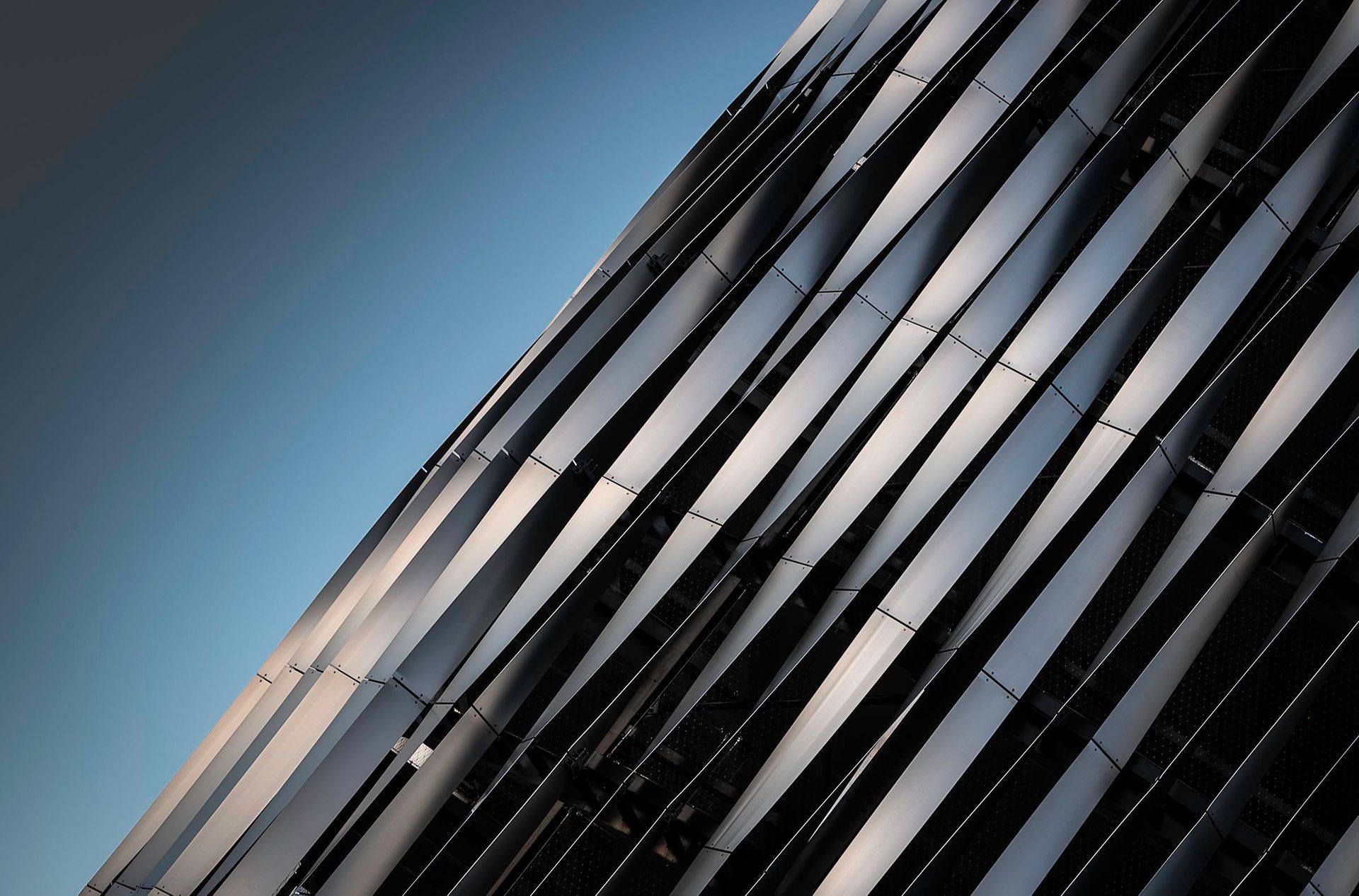 Headshot Photographer 