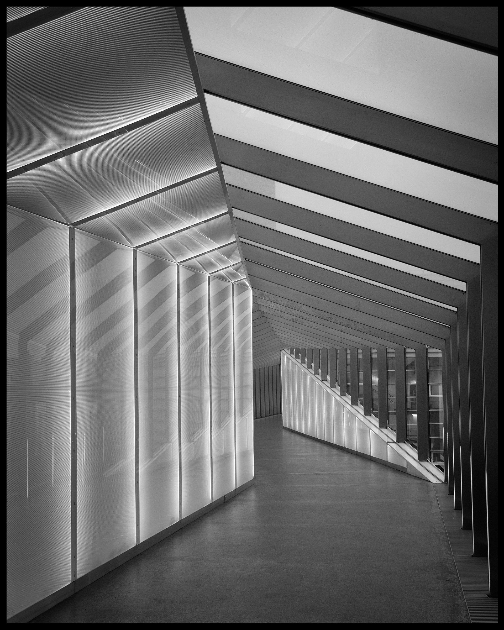 Personal Branding Photography 