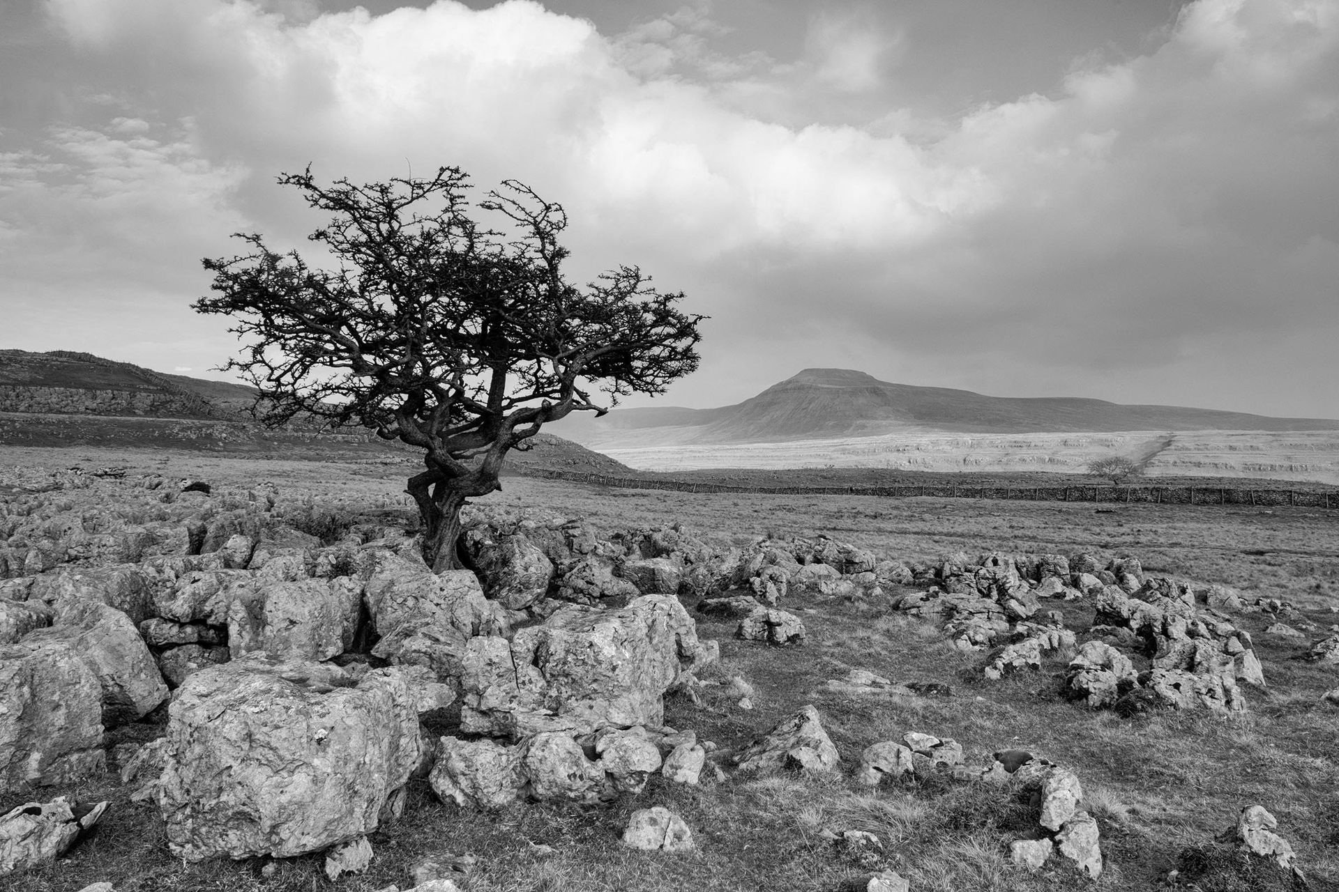 Outdoor Mini Photoshoot