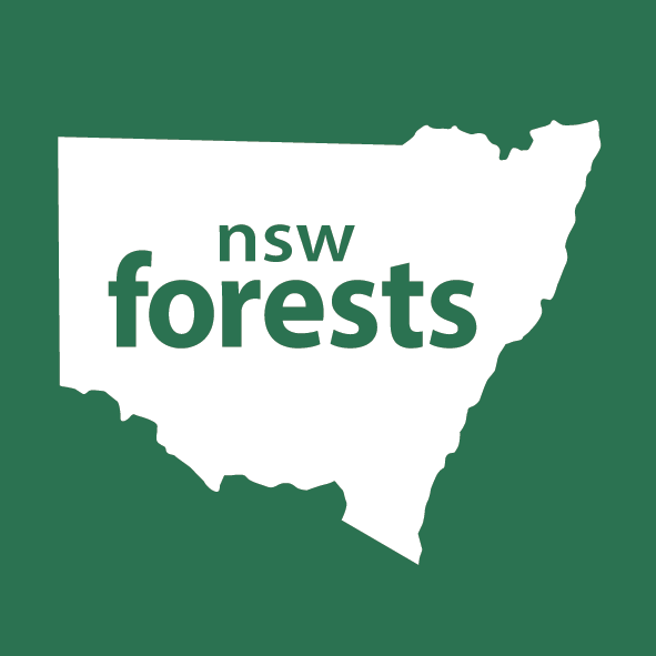 Forestry Corporation