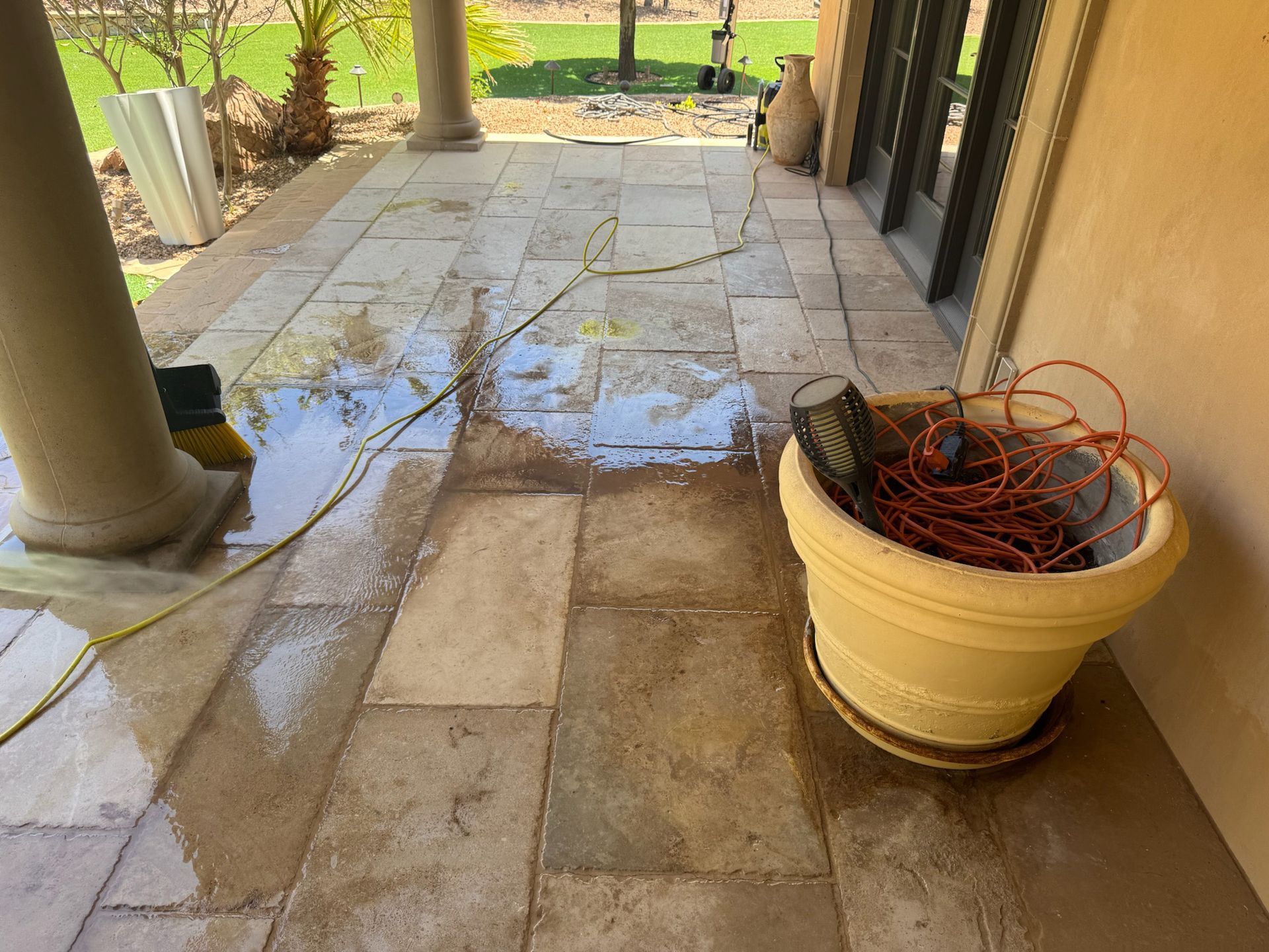 A potted plant is sitting on a patio next to a hose.