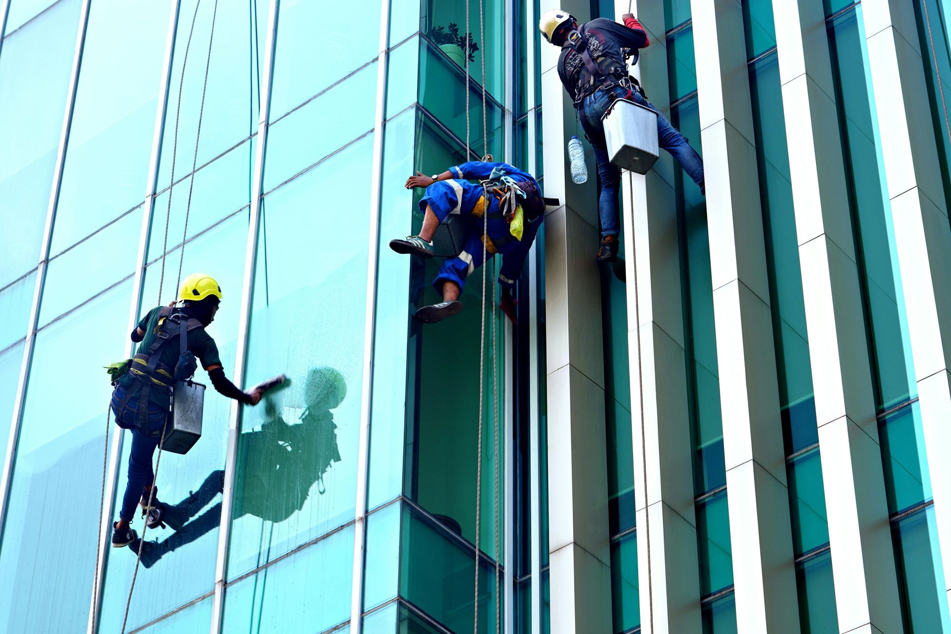 Three window cleaners in harnesses cleaning a tall glass building facade