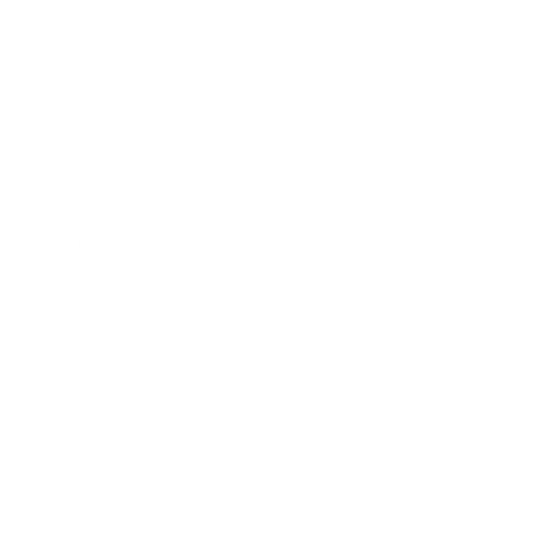 Valentine Property Solutions Logo