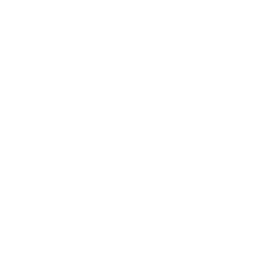 New Mind Insights Logo