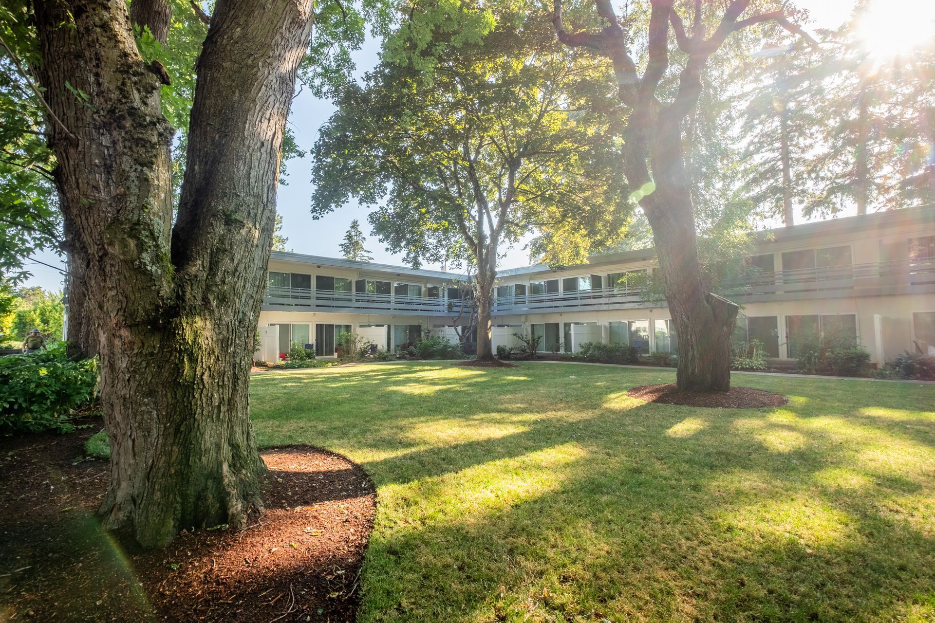 The sun is shining through the trees in front of a building.
