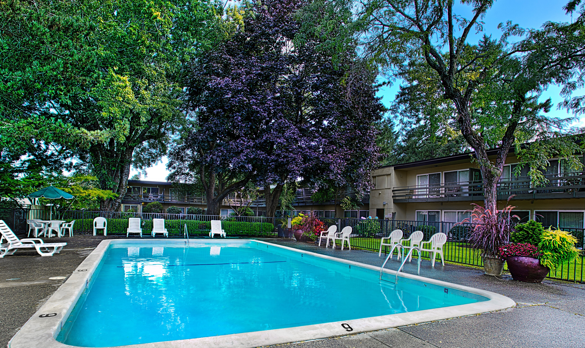 medium size pool with trees in the surrounding courtyard and buildings in the background