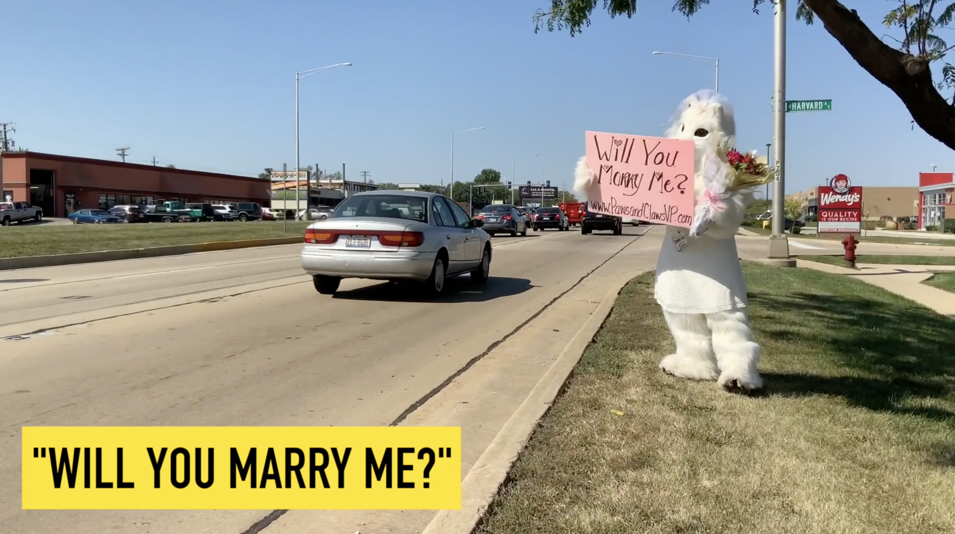 A teddy bear is holding a sign that says 