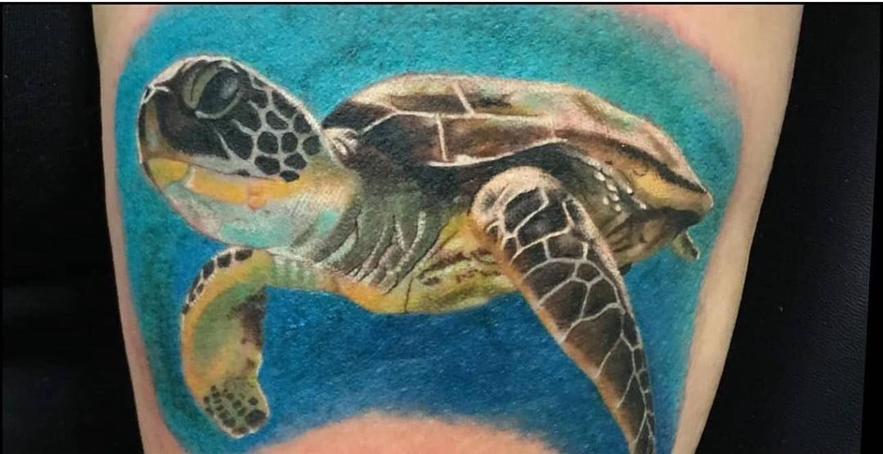 Realistic Turtle Tattoo - Burlington, NC - Inferno Ink Tattoo