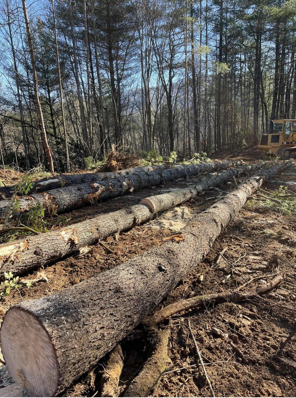 land clearing dahlonega ga