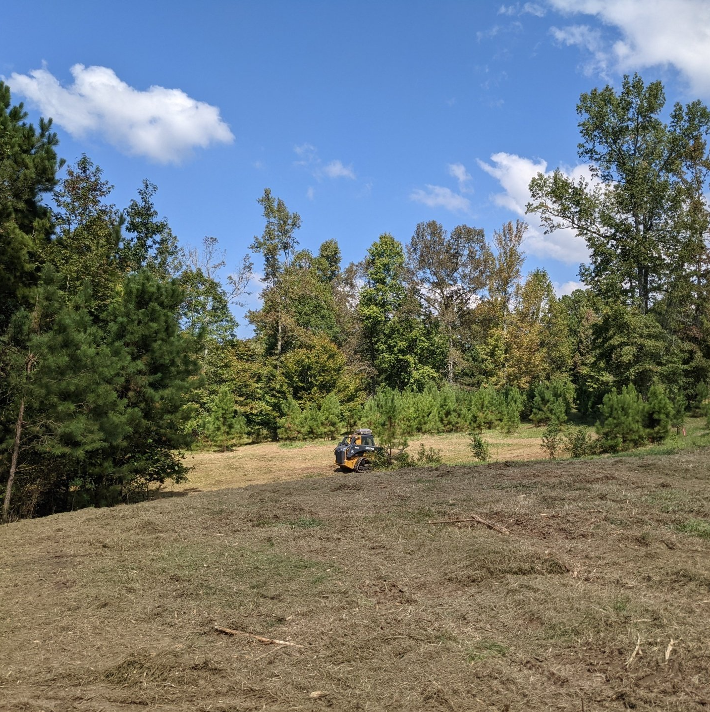 tree mulching alpharetta ga