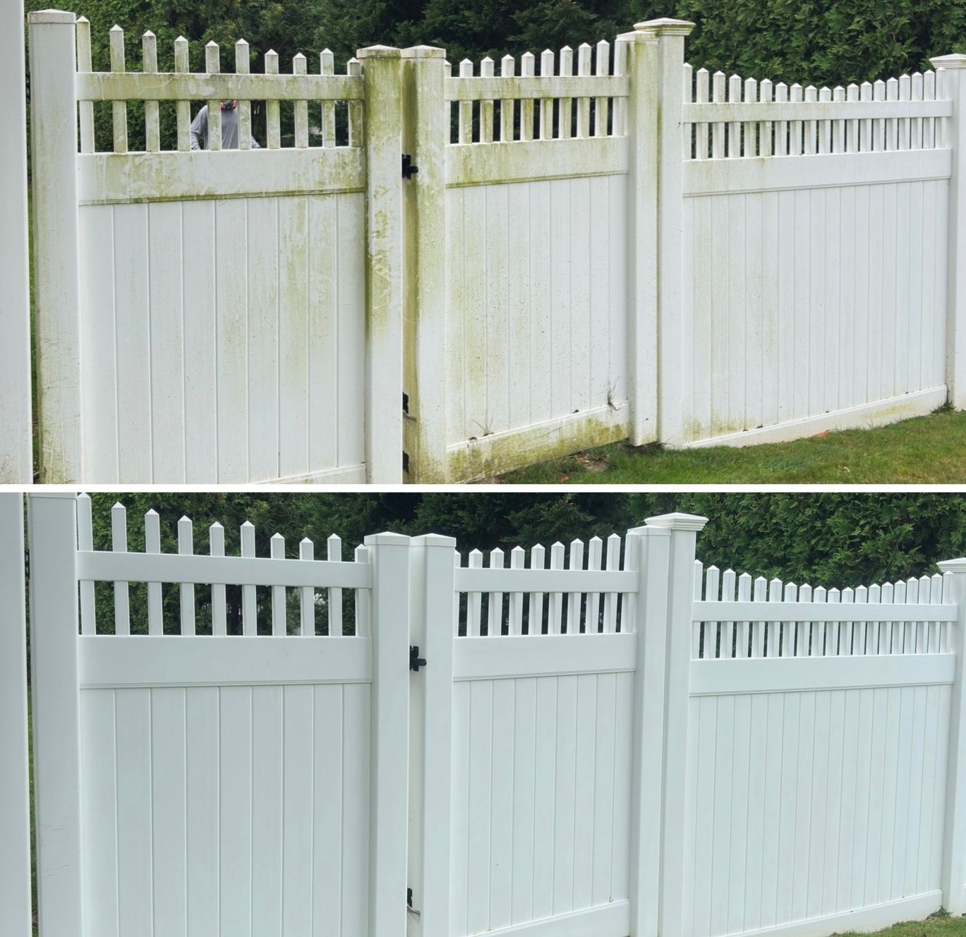 pvc fence cleaning vinyl fence washing algae white fence, pressure washing , cleaning service, best way to clean pvc fence
