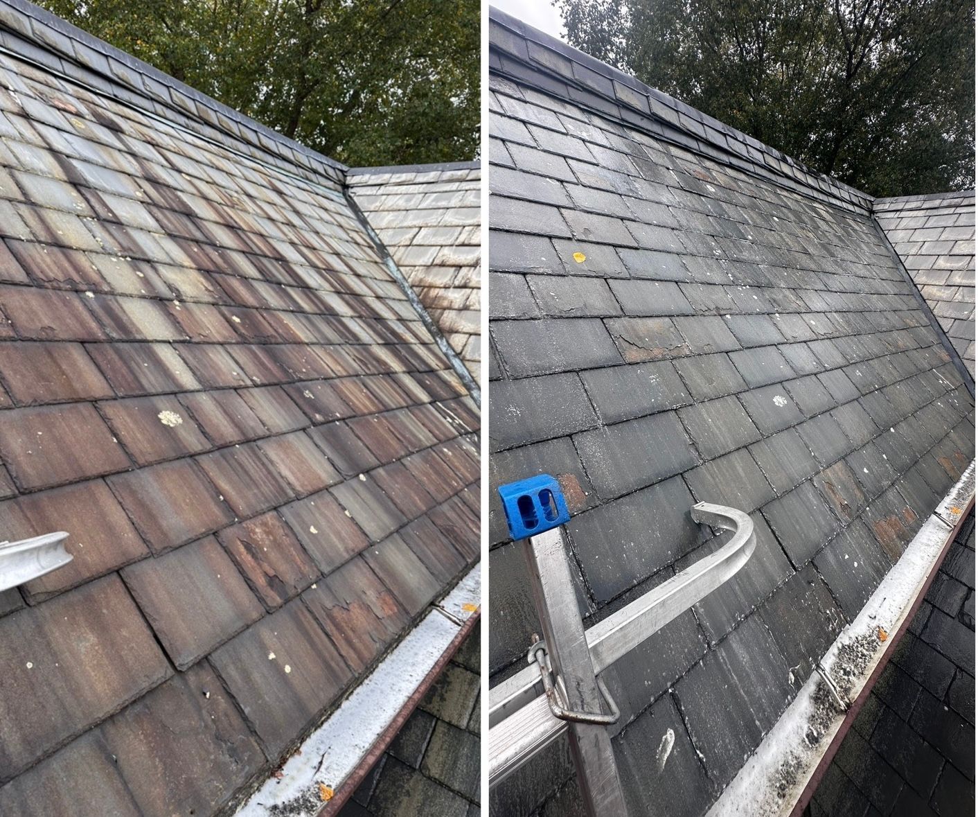 slate roof cleaning, soft wash roof Long Island, Preserve slate roof power washing algae removal roof, roof treatment tile 