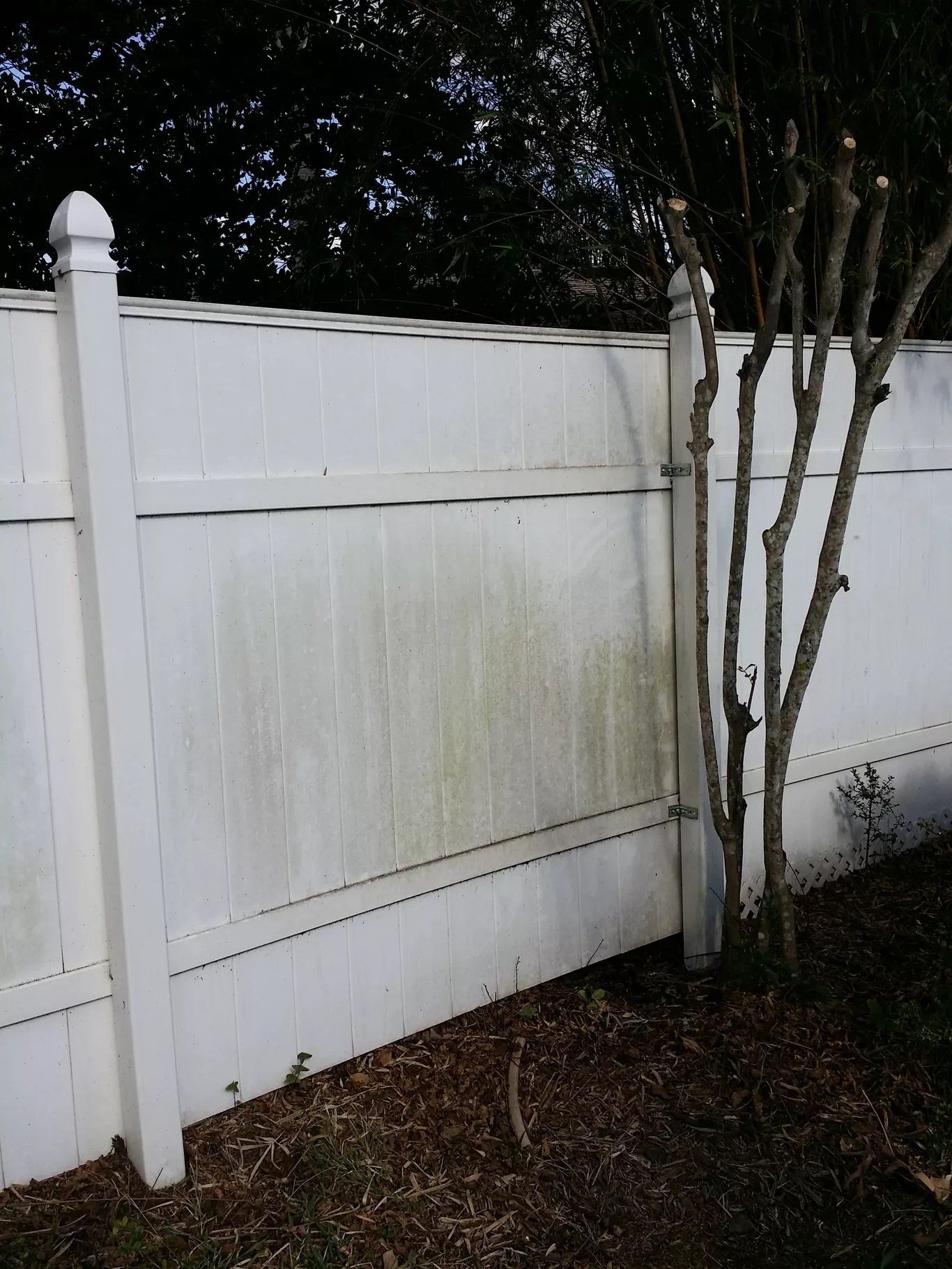Before Fence Cleaning