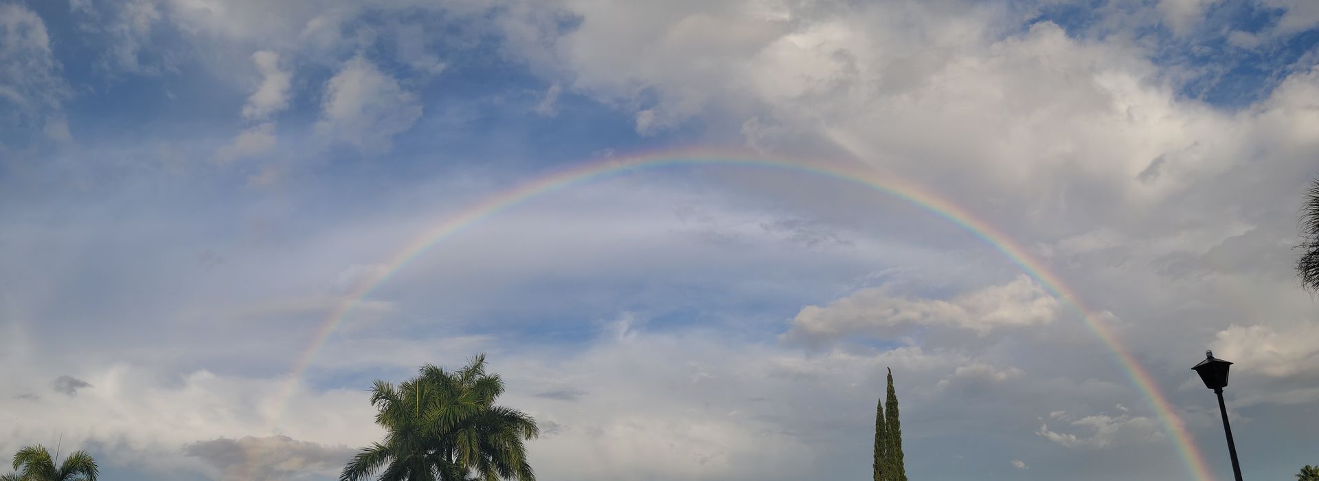 A double rainbow is visible in the sky above trees.