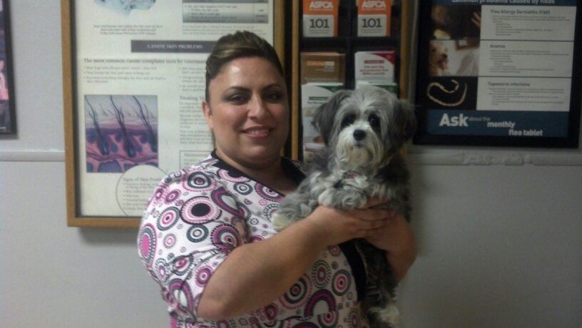 Woman carrying dog - Animal Health Center in Mirada, CA