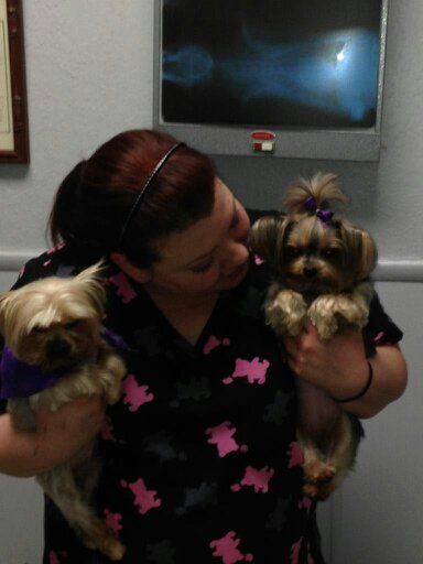Woman with hairy dogs - Animal Health Center in Mirada, CA