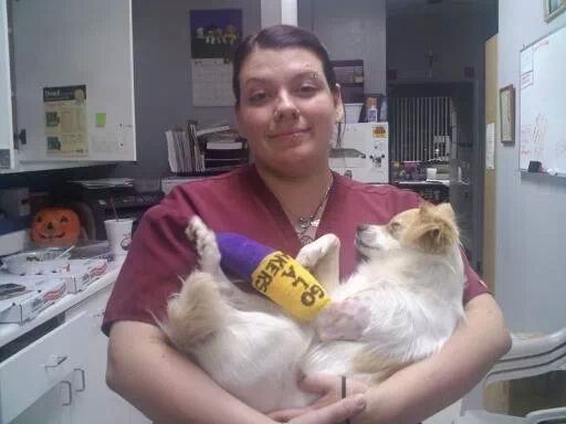 Staff with cat - Animal Health Center in Mirada, CA