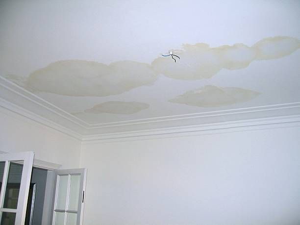 Water spots on ceiling caused by moisture intrusion from attic condensation or a roof leak