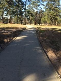 Asphalt Road On A Forrest — Houston, TX — HEV Asphalt Paving Co.