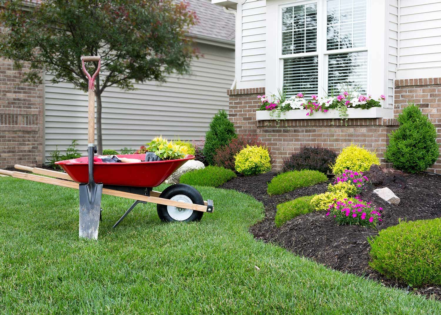 Red wheelbarrow with gardening tools on a lawn