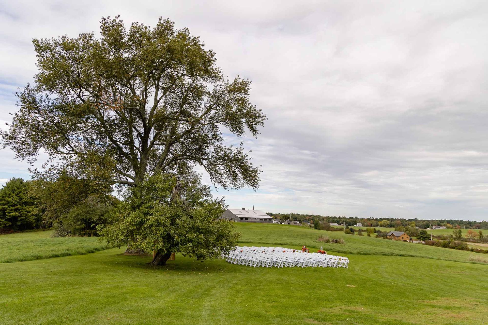 Two trees in a field — Dayton, ME — This Old Barn