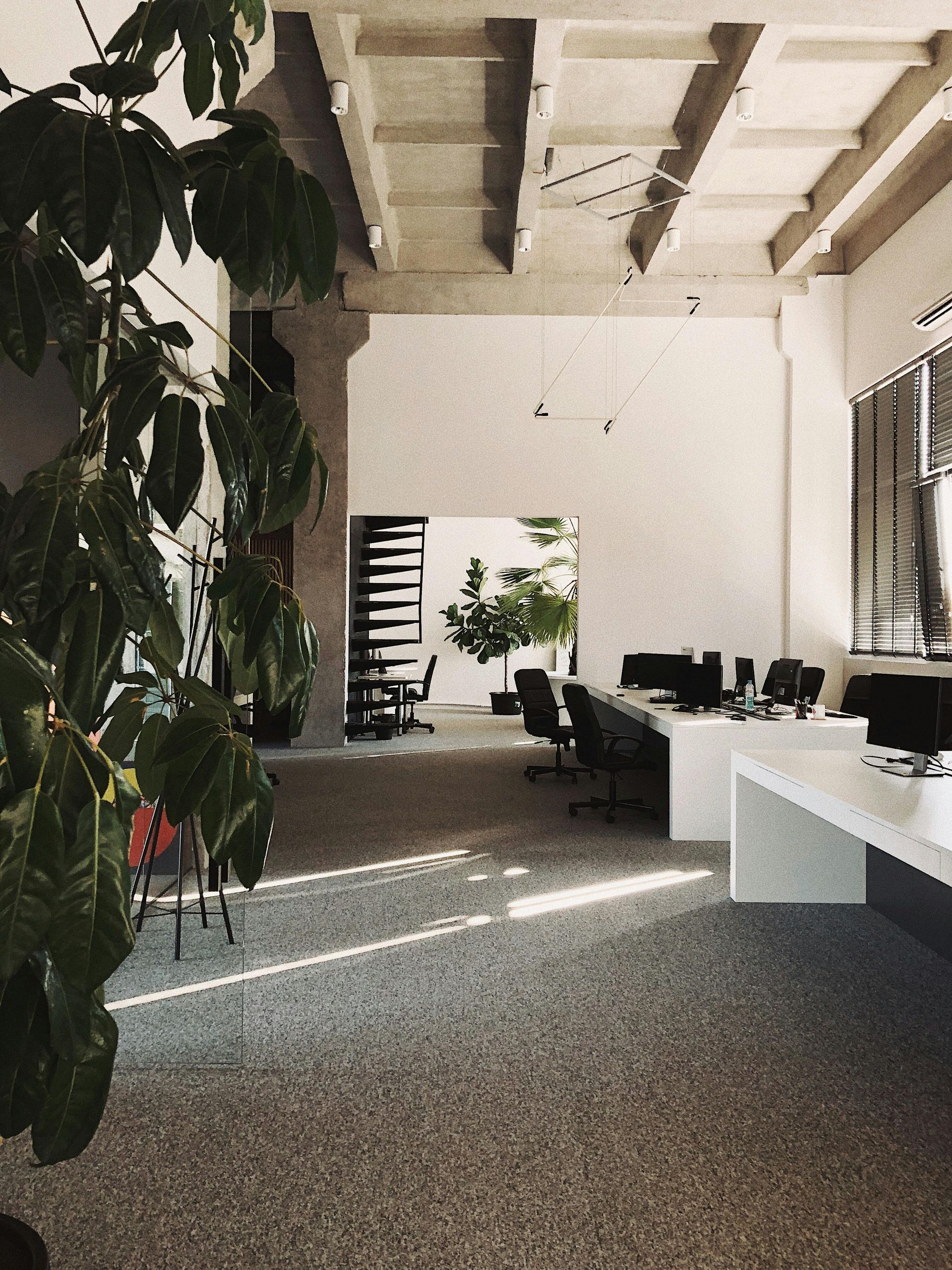 Spacious modern office with terrazzo floors, white desks, and large plants. Sunlight streams in.